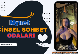 Mynet Cinsel Sohbet Odaları